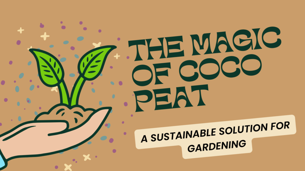 The Magic of Coco Peat: A Sustainable Solution for Gardening